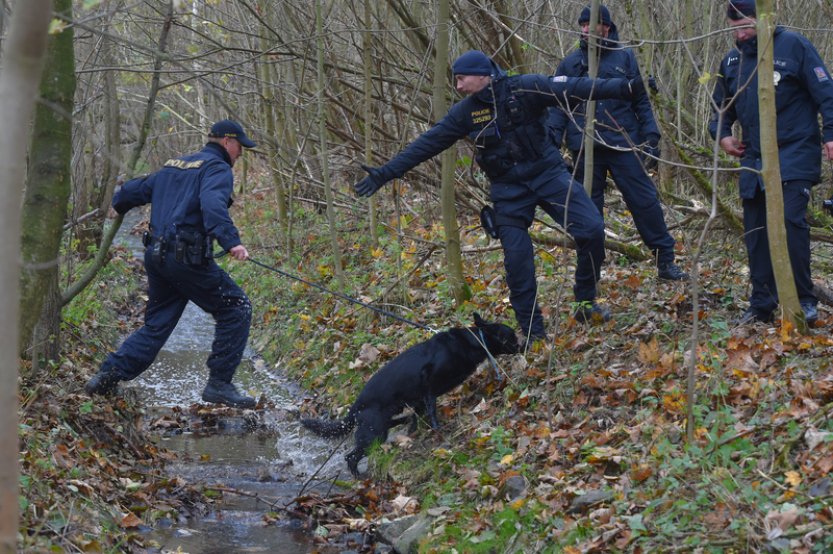 Pátrání po dvanáctiletém chlapci ze Zlínska je zatím neúspěšné, pokračuje