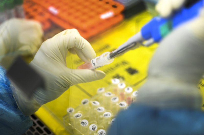 V pololetí přibylo v ČR 133 HIV pozitivních, podíl cizinců je rekordní