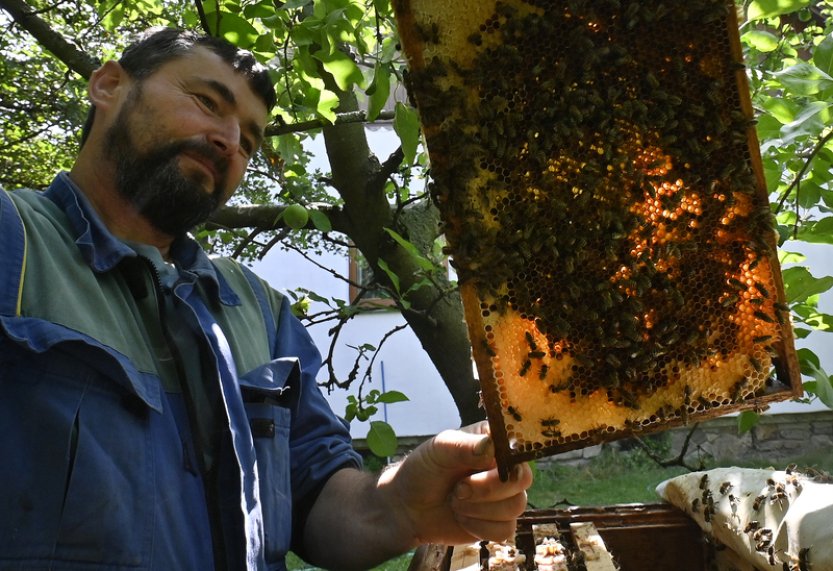 Na včelí farmě v Kostelní Myslové mohou zájemci pobýt i v domku se včelami